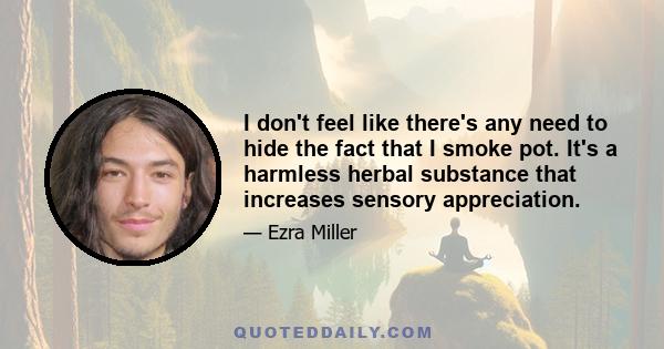 I don't feel like there's any need to hide the fact that I smoke pot. It's a harmless herbal substance that increases sensory appreciation.