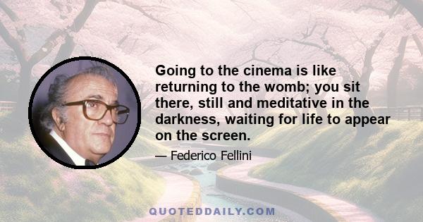 Going to the cinema is like returning to the womb; you sit there, still and meditative in the darkness, waiting for life to appear on the screen.