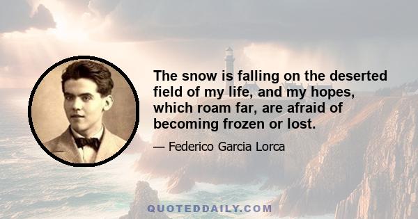 The snow is falling on the deserted field of my life, and my hopes, which roam far, are afraid of becoming frozen or lost.
