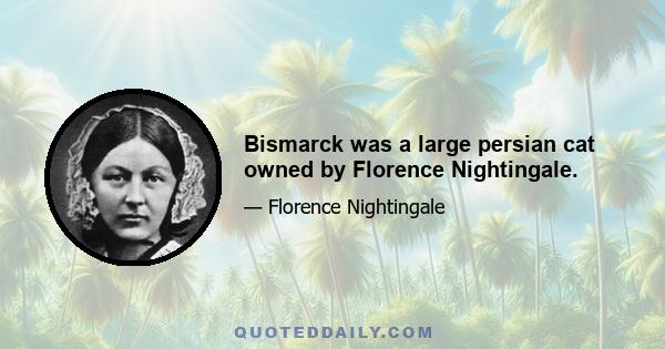 Bismarck was a large persian cat owned by Florence Nightingale.