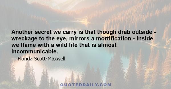 Another secret we carry is that though drab outside - wreckage to the eye, mirrors a mortification - inside we flame with a wild life that is almost incommunicable.