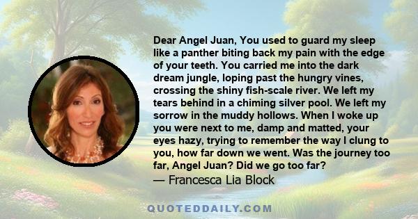 Dear Angel Juan, You used to guard my sleep like a panther biting back my pain with the edge of your teeth. You carried me into the dark dream jungle, loping past the hungry vines, crossing the shiny fish-scale river.