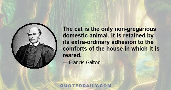 The cat is the only non-gregarious domestic animal. It is retained by its extra-ordinary adhesion to the comforts of the house in which it is reared.