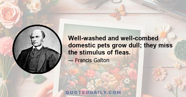 Well-washed and well-combed domestic pets grow dull; they miss the stimulus of fleas.