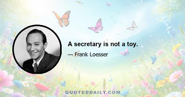 A secretary is not a toy.