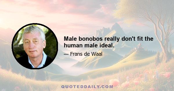 Male bonobos really don't fit the human male ideal.