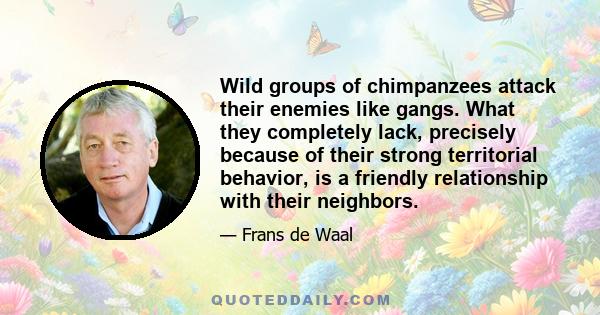 Wild groups of chimpanzees attack their enemies like gangs. What they completely lack, precisely because of their strong territorial behavior, is a friendly relationship with their neighbors.