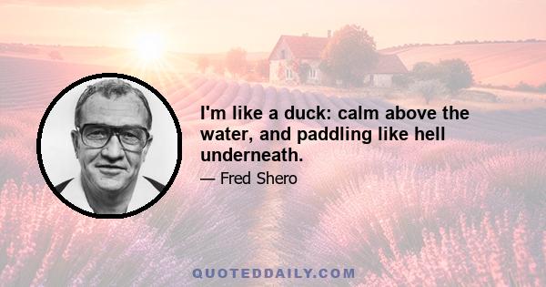 I'm like a duck: calm above the water, and paddling like hell underneath.