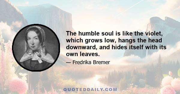 The humble soul is like the violet, which grows low, hangs the head downward, and hides itself with its own leaves.