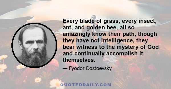 Every blade of grass, every insect, ant, and golden bee, all so amazingly know their path, though they have not intelligence, they bear witness to the mystery of God and continually accomplish it themselves.