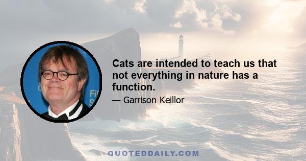 Cats are intended to teach us that not everything in nature has a function.