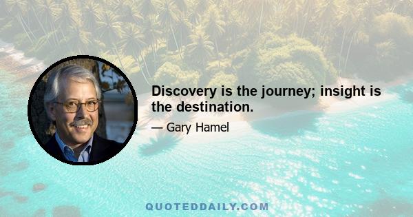 Discovery is the journey; insight is the destination.