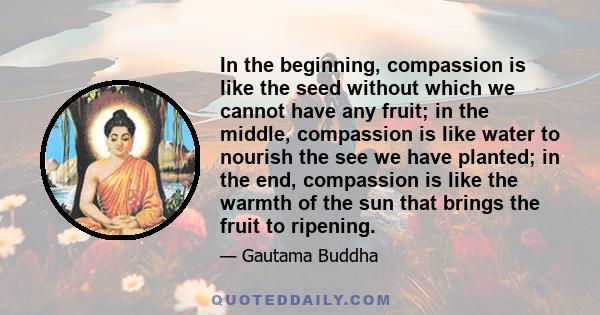 In the beginning, compassion is like the seed without which we cannot have any fruit; in the middle, compassion is like water to nourish the see we have planted; in the end, compassion is like the warmth of the sun that 