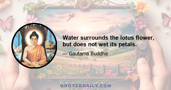 Water surrounds the lotus flower, but does not wet its petals.