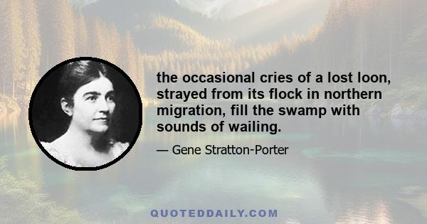 the occasional cries of a lost loon, strayed from its flock in northern migration, fill the swamp with sounds of wailing.