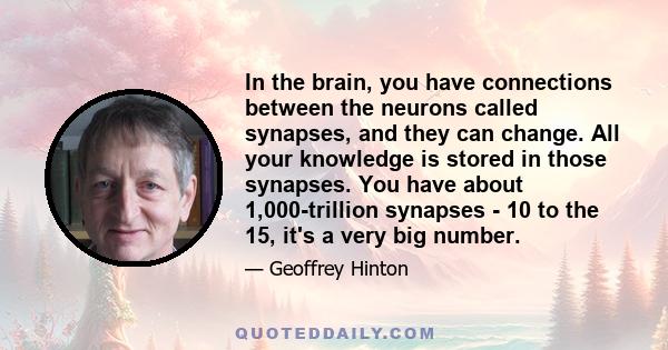In the brain, you have connections between the neurons called synapses, and they can change. All your knowledge is stored in those synapses. You have about 1,000-trillion synapses - 10 to the 15, it's a very big number.
