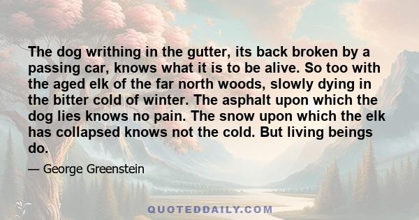 The dog writhing in the gutter, its back broken by a passing car, knows what it is to be alive. So too with the aged elk of the far north woods, slowly dying in the bitter cold of winter. The asphalt upon which the dog