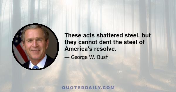 These acts shattered steel, but they cannot dent the steel of America's resolve.