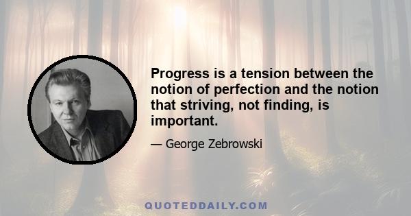 Progress is a tension between the notion of perfection and the notion that striving, not finding, is important.