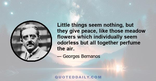 Little things seem nothing, but they give peace, like those meadow flowers which individually seem odorless but all together perfume the air.