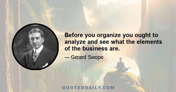 Before you organize you ought to analyze and see what the elements of the business are.