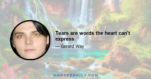 Tears are words the heart can't express