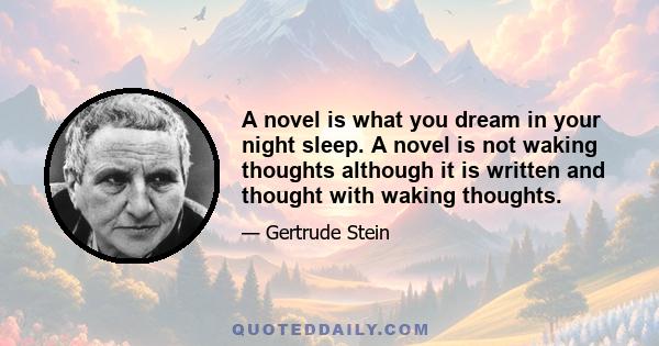 A novel is what you dream in your night sleep. A novel is not waking thoughts although it is written and thought with waking thoughts.