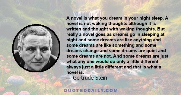 A novel is what you dream in your night sleep. A novel is not waking thoughts although it is written and thought with waking thoughts. But really a novel goes as dreams go in sleeping at night and some dreams are like