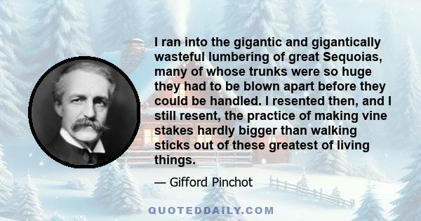 I ran into the gigantic and gigantically wasteful lumbering of great Sequoias, many of whose trunks were so huge they had to be blown apart before they could be handled. I resented then, and I still resent, the practice 