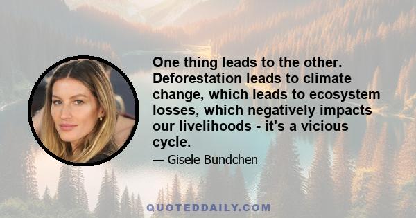 One thing leads to the other. Deforestation leads to climate change, which leads to ecosystem losses, which negatively impacts our livelihoods - it's a vicious cycle.