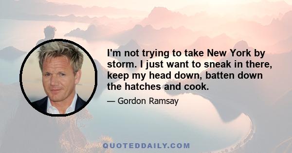 I'm not trying to take New York by storm. I just want to sneak in there, keep my head down, batten down the hatches and cook.