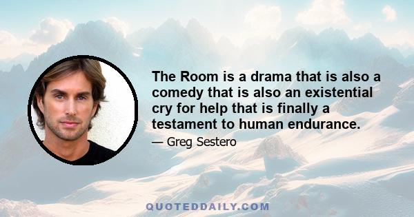 The Room is a drama that is also a comedy that is also an existential cry for help that is finally a testament to human endurance.