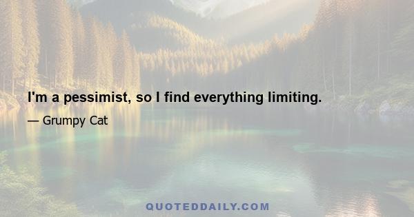 I'm a pessimist, so I find everything limiting.