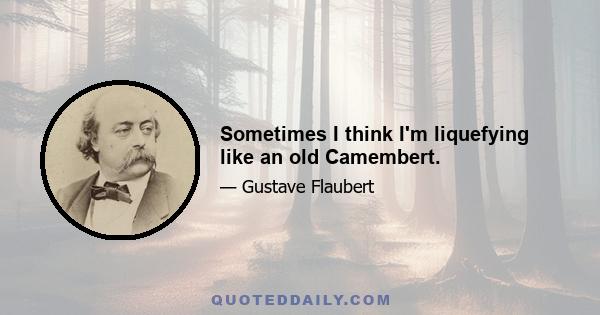 Sometimes I think I'm liquefying like an old Camembert.