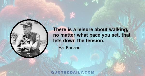 There is a leisure about walking, no matter what pace you set, that lets down the tension.