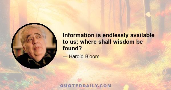 Information is endlessly available to us; where shall wisdom be found?