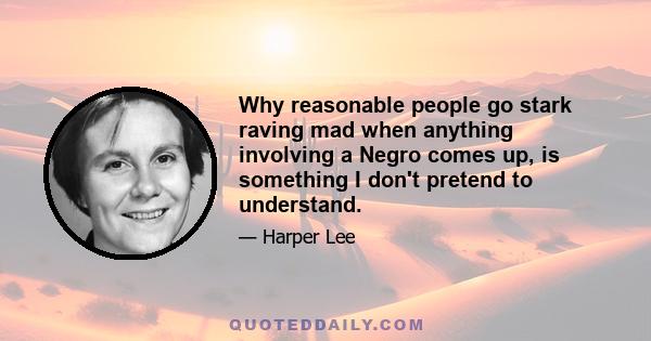 Why reasonable people go stark raving mad when anything involving a Negro comes up, is something I don't pretend to understand.