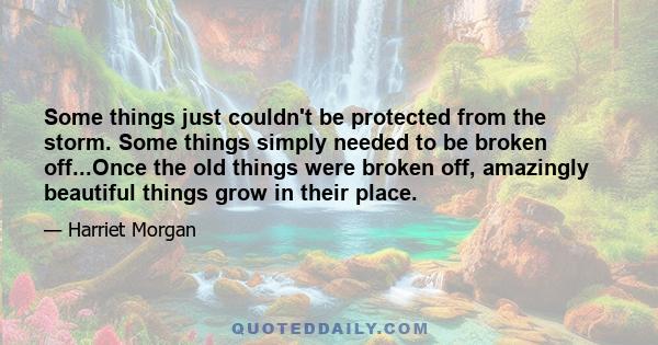 Some things just couldn't be protected from the storm. Some things simply needed to be broken off...Once the old things were broken off, amazingly beautiful things grow in their place.