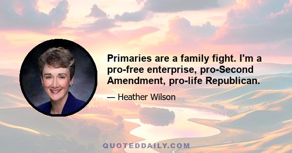 Primaries are a family fight. I'm a pro-free enterprise, pro-Second Amendment, pro-life Republican.