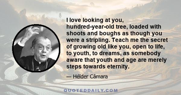 I love looking at you, hundred-year-old tree, loaded with shoots and boughs as though you were a stripling. Teach me the secret of growing old like you, open to life, to youth, to dreams, as somebody aware that youth