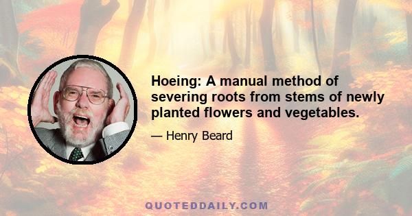 Hoeing: A manual method of severing roots from stems of newly planted flowers and vegetables.