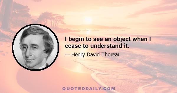 I begin to see an object when I cease to understand it.