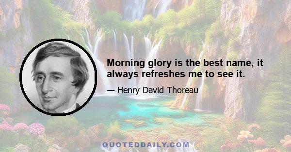 Morning glory is the best name, it always refreshes me to see it.