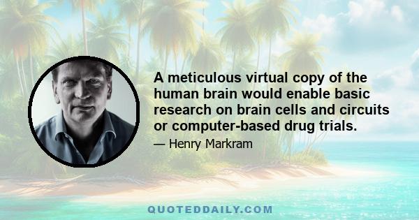 A meticulous virtual copy of the human brain would enable basic research on brain cells and circuits or computer-based drug trials.