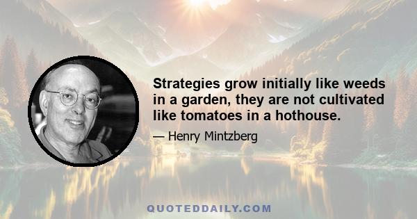 Strategies grow initially like weeds in a garden, they are not cultivated like tomatoes in a hothouse.