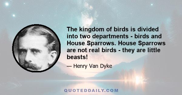 The kingdom of birds is divided into two departments - birds and House Sparrows. House Sparrows are not real birds - they are little beasts!