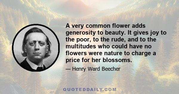 A very common flower adds generosity to beauty. It gives joy to the poor, to the rude, and to the multitudes who could have no flowers were nature to charge a price for her blossoms.