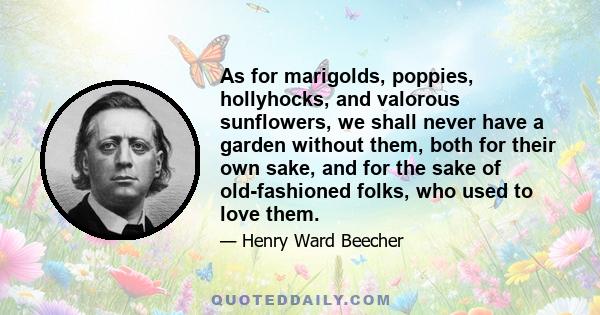 As for marigolds, poppies, hollyhocks, and valorous sunflowers, we shall never have a garden without them, both for their own sake, and for the sake of old-fashioned folks, who used to love them.