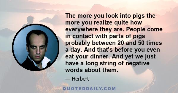 The more you look into pigs the more you realize quite how everywhere they are. People come in contact with parts of pigs probably between 20 and 50 times a day. And that's before you even eat your dinner. And yet we