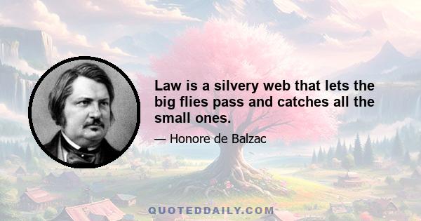 Law is a silvery web that lets the big flies pass and catches all the small ones.